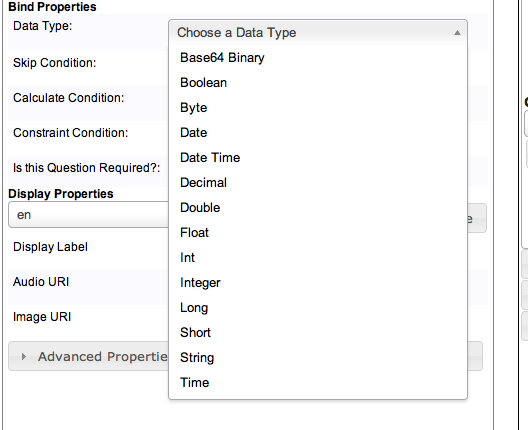 Image of Coconut form designer data type selection.
